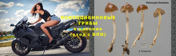 бошки Армянск