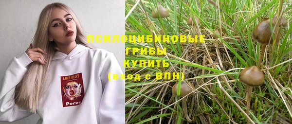 бошки Армянск