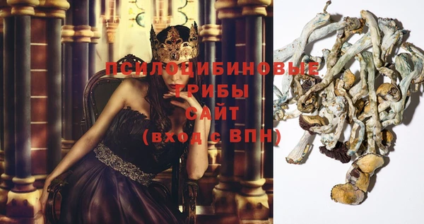 экстази Арсеньев