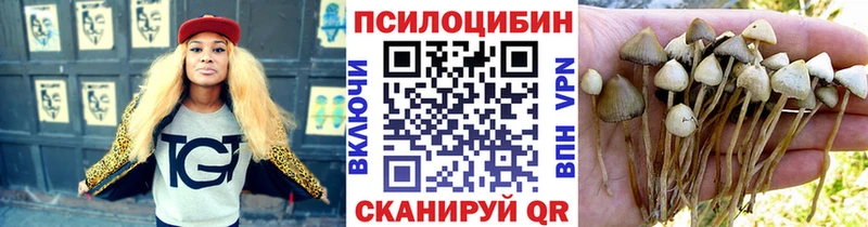 Псилоцибиновые грибы мицелий  blacksprut ONION  Белебей 